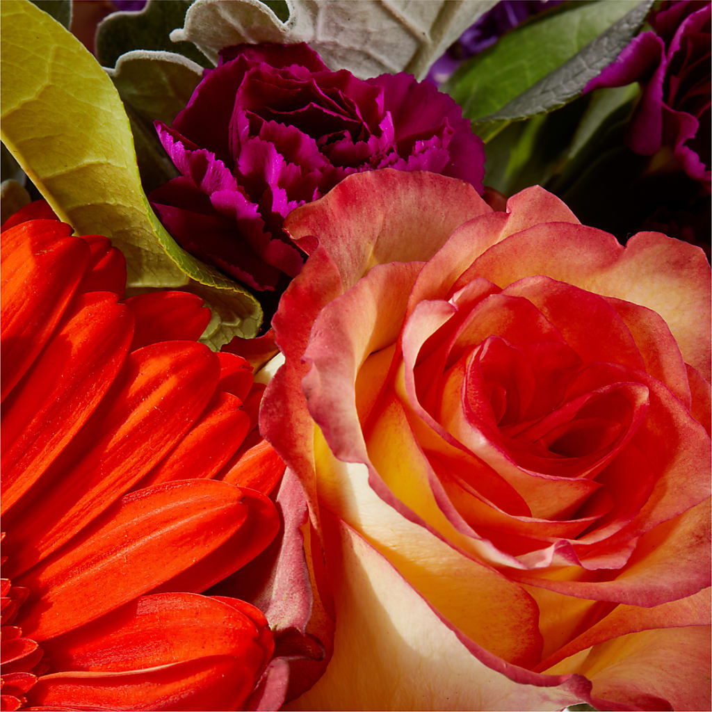 Sangria Bouquet – THE LADYBUG FLORAL & GIFTS, Berlin WI