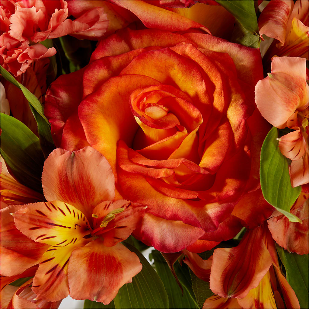Apricot Glow Bouquet – THE LADYBUG FLORAL & GIFTS, Berlin WI