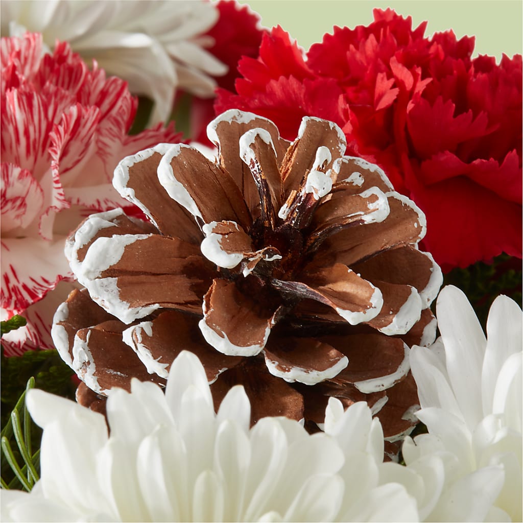 Candy Cane Lane Bouquet – THE LADYBUG FLORAL & GIFTS, Berlin WI