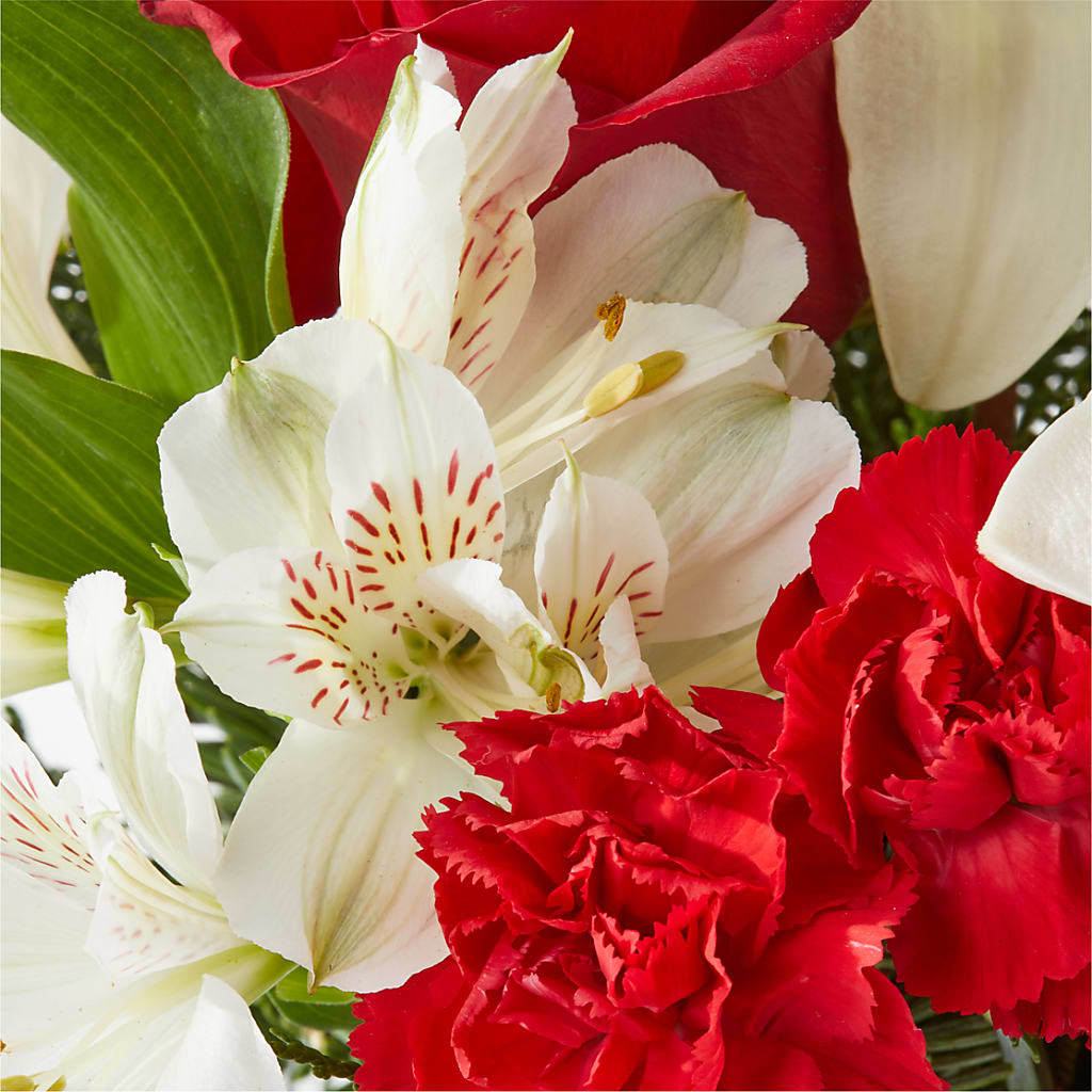 Holiday Season Bouquet – THE LADYBUG FLORAL & GIFTS, Berlin WI
