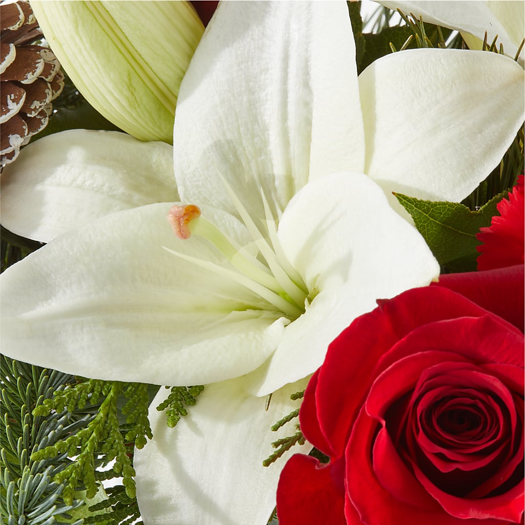 Oh So Jolly Bouquet – THE LADYBUG FLORAL & GIFTS, Berlin WI
