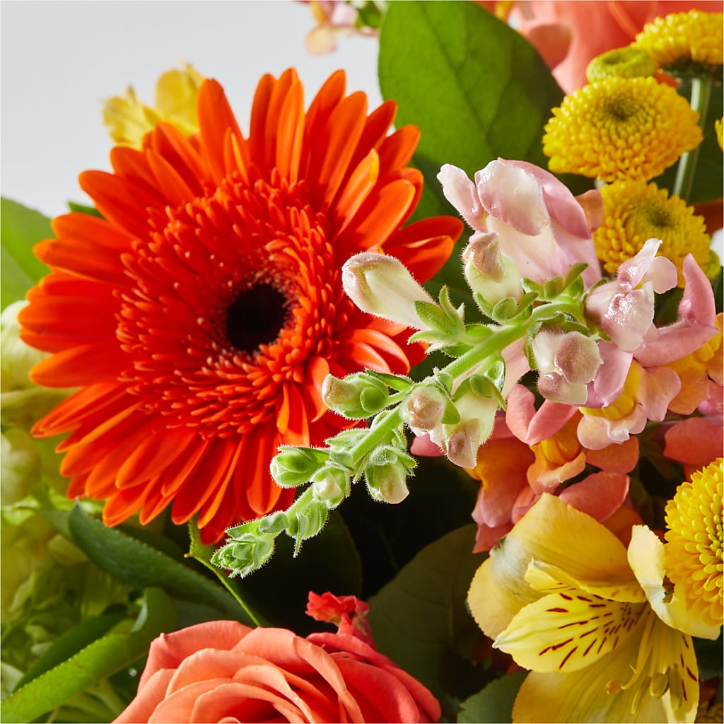 Autumn Sunshine Bouquet – THE LADYBUG FLORAL & GIFTS, Berlin WI