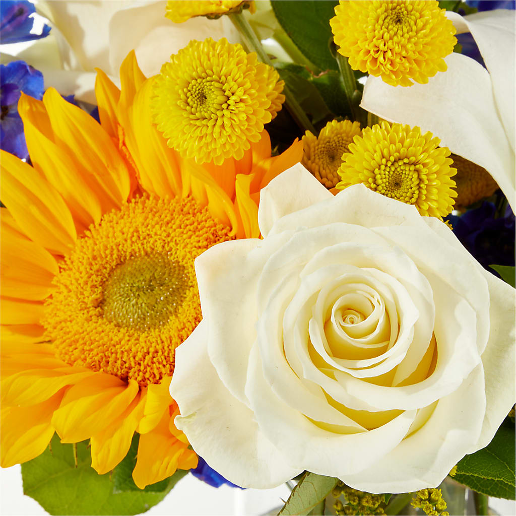 Stargazing Bouquet – THE LADYBUG FLORAL & GIFTS, Berlin WI