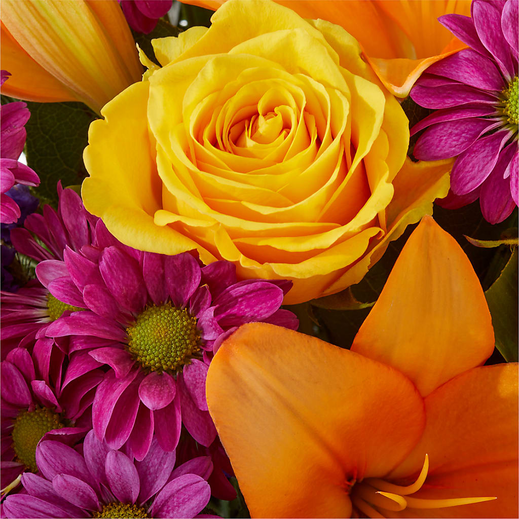 Colorful Visions Bouquet – THE LADYBUG FLORAL & GIFTS, Berlin WI
