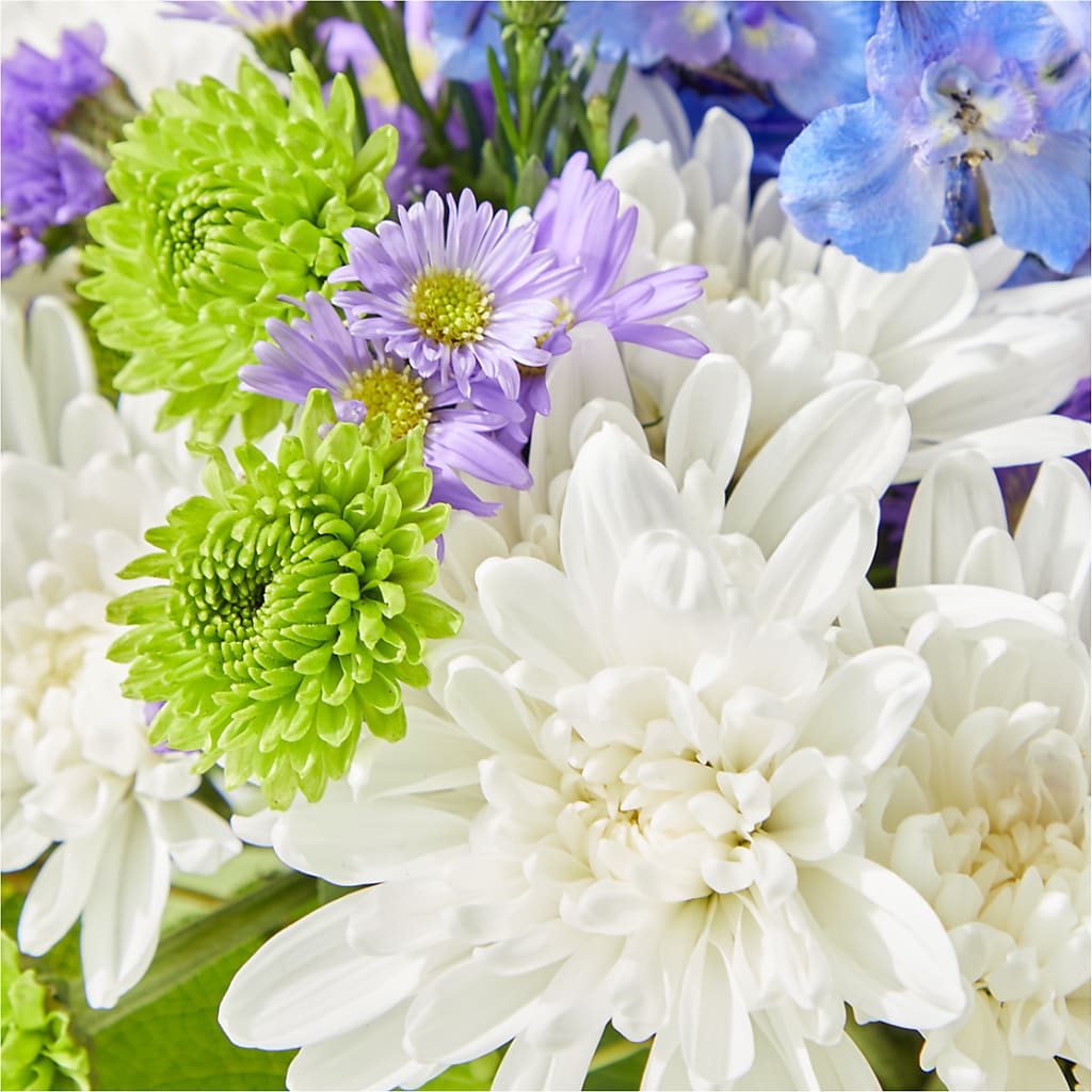 Genuine Gestures Bouquet – THE LADYBUG FLORAL & GIFTS, Berlin WI