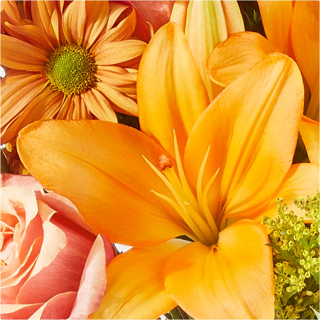 Harvest Hayride Bouquet – THE LADYBUG FLORAL & GIFTS, Berlin WI