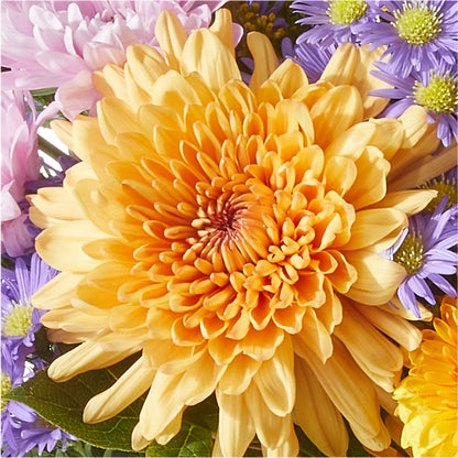 Countryside Bouquet – THE LADYBUG FLORAL & GIFTS, Berlin WI