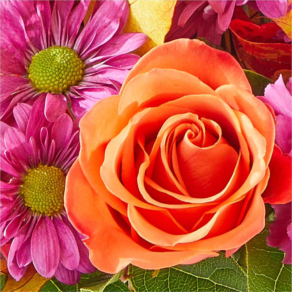 Mum's the Word Bouquet – THE LADYBUG FLORAL & GIFTS, Berlin WI