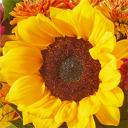 Sunny Side Bouquet – THE LADYBUG FLORAL & GIFTS, Berlin WI
