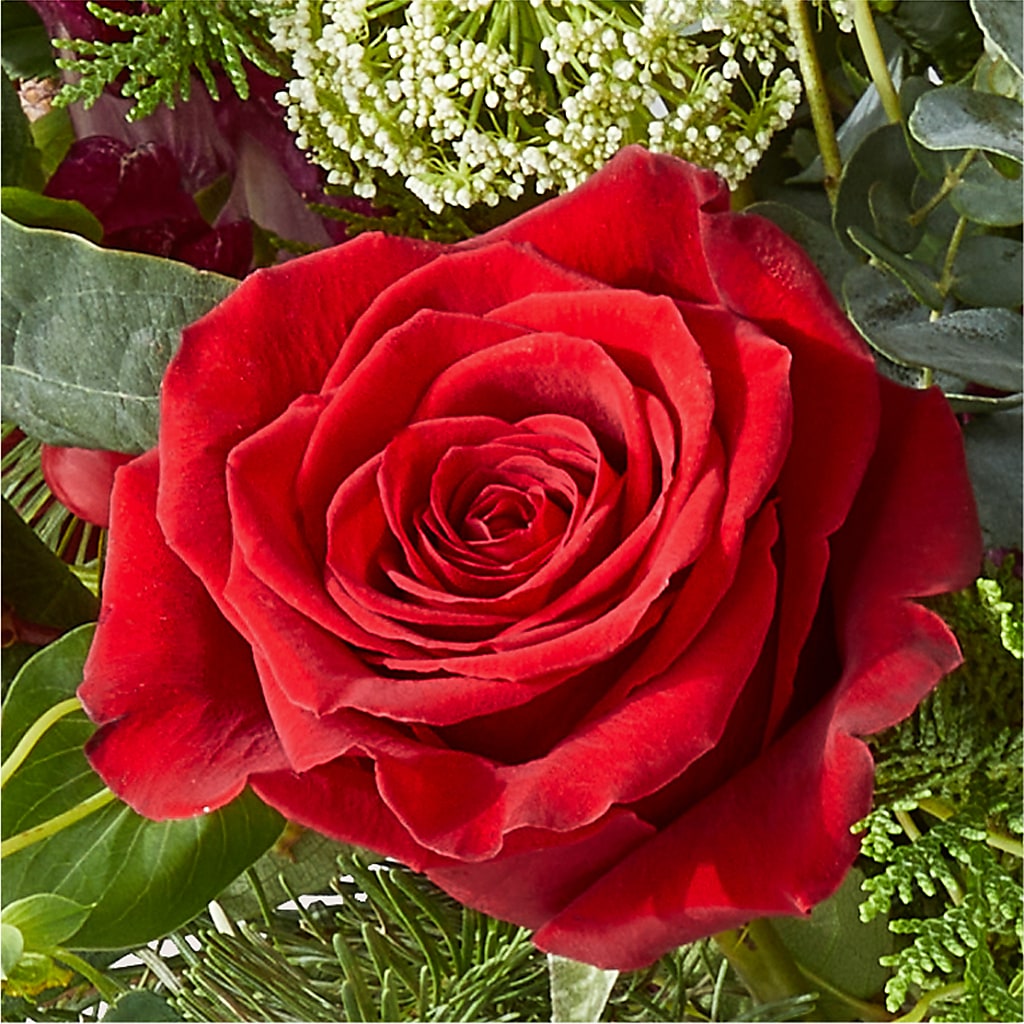 Cranberry Fizz Bouquet – THE LADYBUG FLORAL & GIFTS, Berlin WI