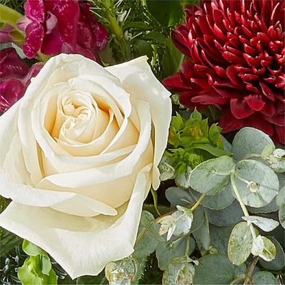 Cranberry Fizz Bouquet – THE LADYBUG FLORAL & GIFTS, Berlin WI