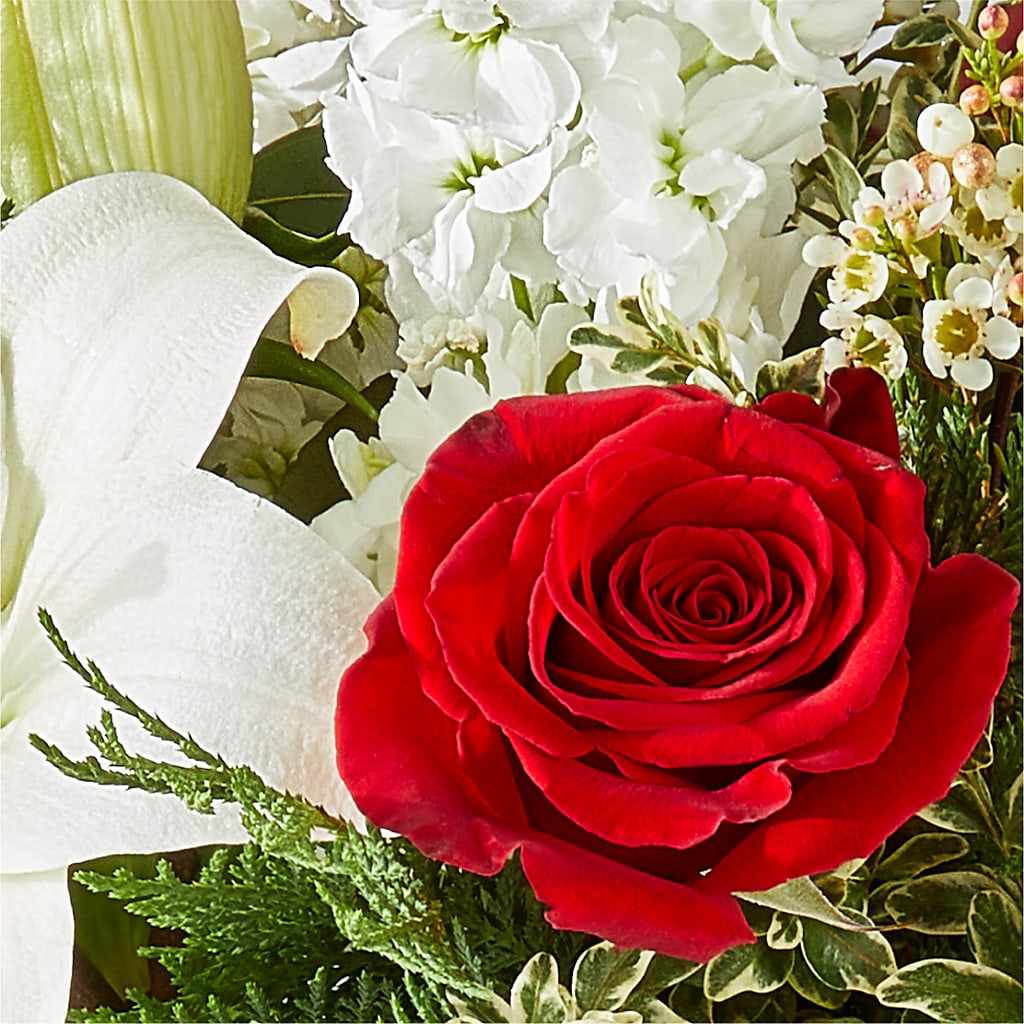 Twinkle Lights Bouquet – THE LADYBUG FLORAL & GIFTS, Berlin WI