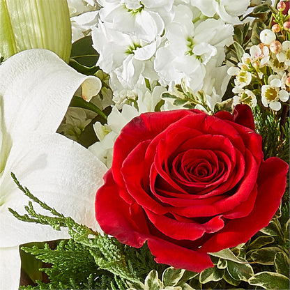 Twinkle Lights Bouquet – THE LADYBUG FLORAL & GIFTS, Berlin WI