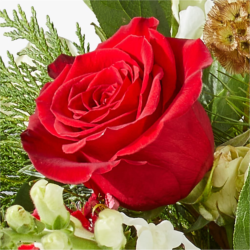 Deck the Halls Bouquet – THE LADYBUG FLORAL & GIFTS, Berlin WI