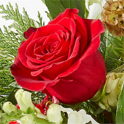 Deck the Halls Bouquet – THE LADYBUG FLORAL & GIFTS, Berlin WI