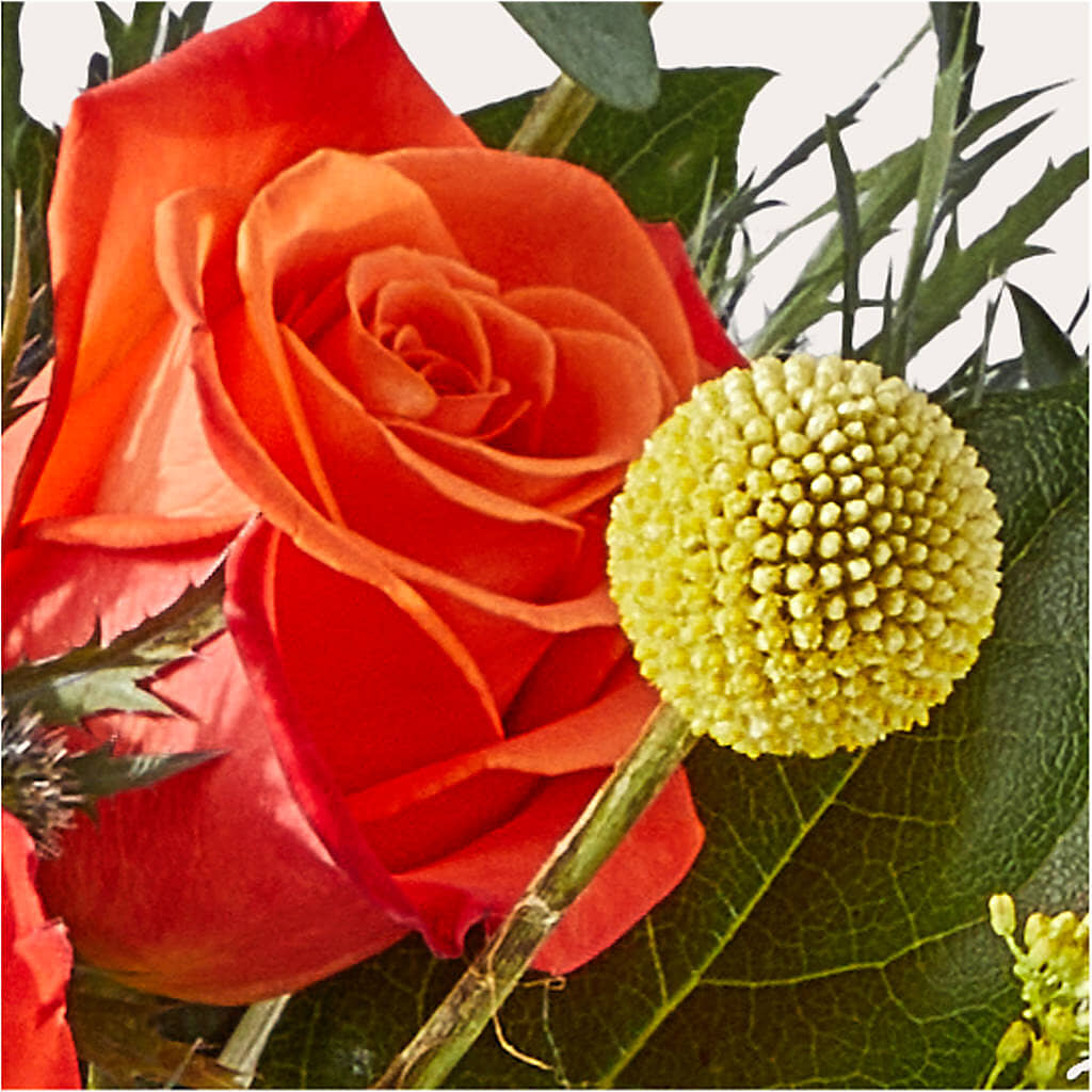Disco Bouquet – THE LADYBUG FLORAL & GIFTS, Berlin WI