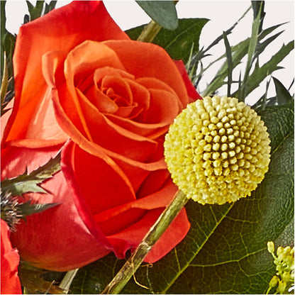Disco Bouquet – THE LADYBUG FLORAL & GIFTS, Berlin WI