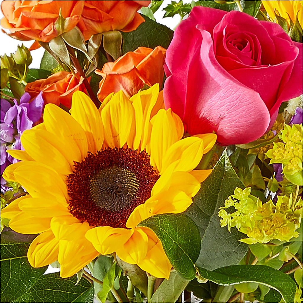 Vibrant Greetings Bouquet – THE LADYBUG FLORAL & GIFTS, Berlin WI