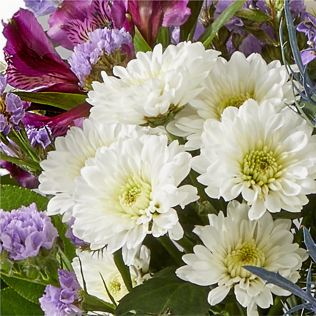 Shooting Star Bouquet – THE LADYBUG FLORAL & GIFTS, Berlin WI