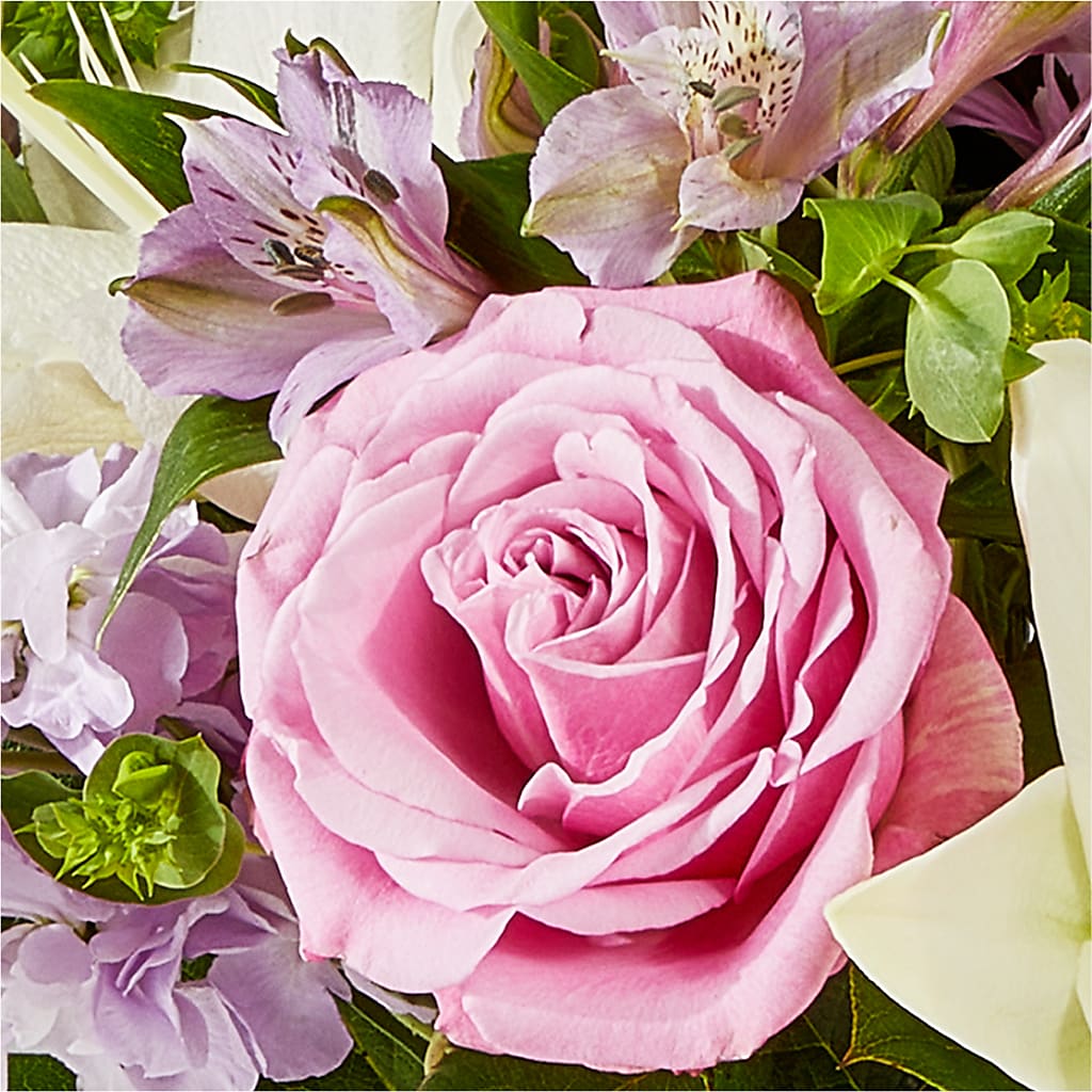 Daydreamer Bouquet – THE LADYBUG FLORAL & GIFTS, Berlin WI