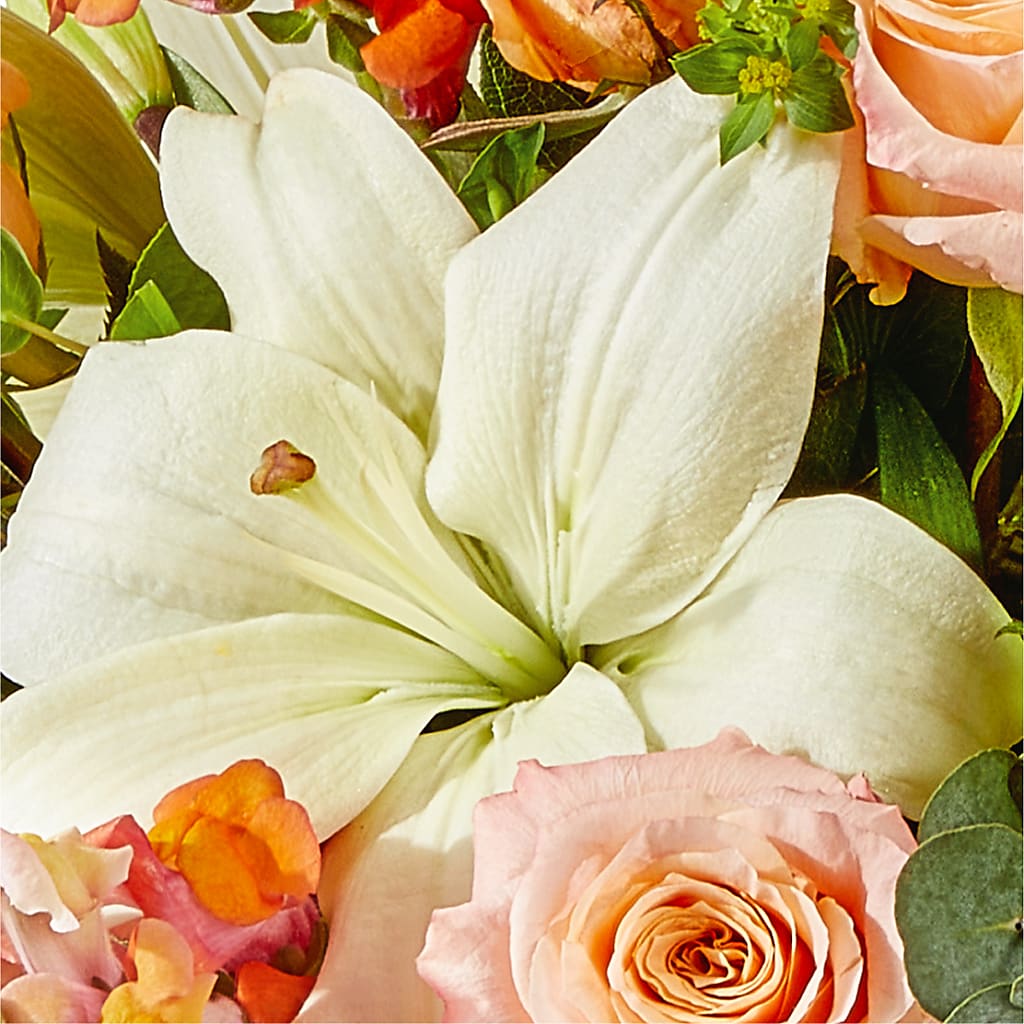 Grapefruit Splash Bouquet – THE LADYBUG FLORAL & GIFTS, Berlin WI