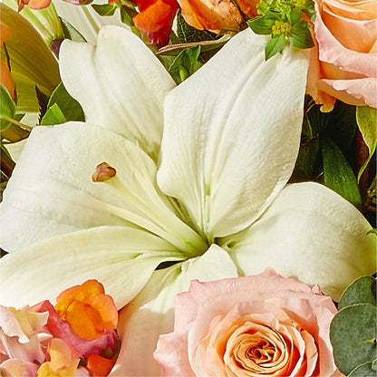 Grapefruit Splash Bouquet – THE LADYBUG FLORAL & GIFTS, Berlin WI