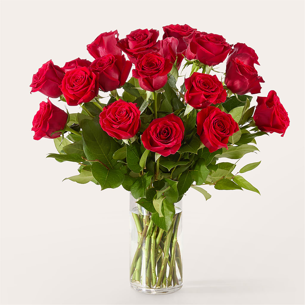 The One Red Rose Bouquet – THE LADYBUG FLORAL & GIFTS, Berlin WI