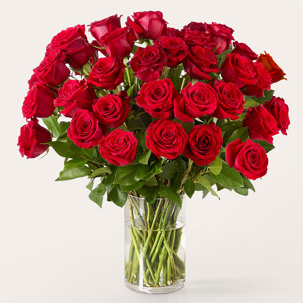 The One Red Rose Bouquet – THE LADYBUG FLORAL & GIFTS, Berlin WI