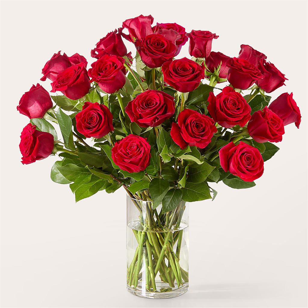 The One Red Rose Bouquet – THE LADYBUG FLORAL & GIFTS, Berlin WI