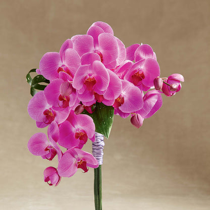 Glorious Bouquet – THE LADYBUG FLORAL & GIFTS, Berlin WI