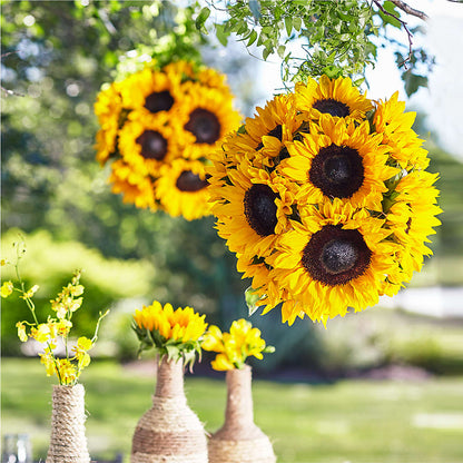 Sublime Garden Hanging Arrangement – THE LADYBUG FLORAL & GIFTS, Berlin WI