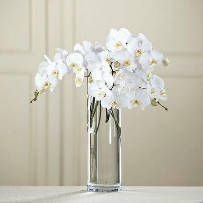 White Phalaenopsis Bouquet – THE LADYBUG FLORAL & GIFTS, Berlin WI