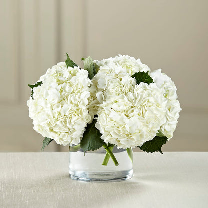 White Hydrangea Bouquet – THE LADYBUG FLORAL & GIFTS, Berlin WI