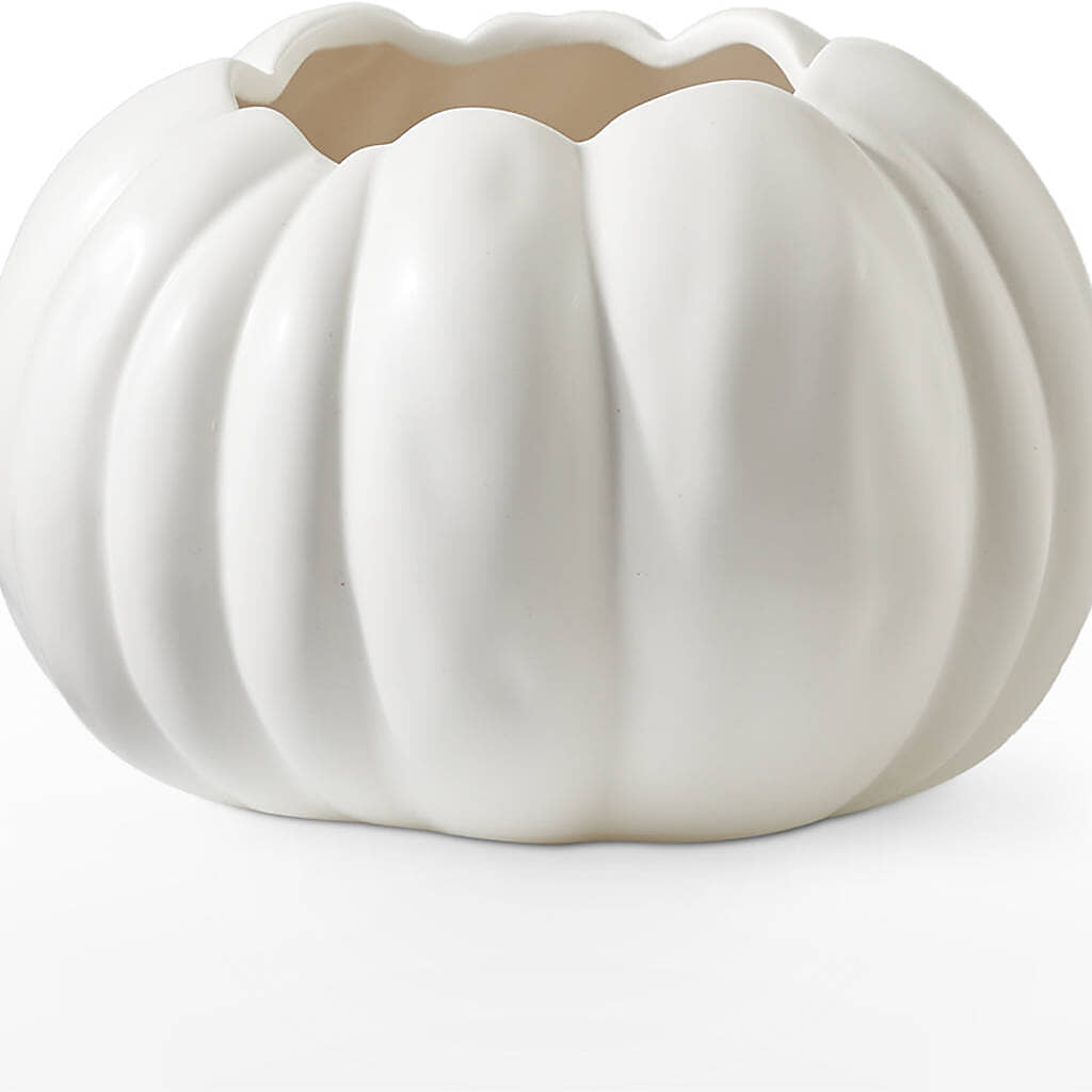 Autumn Air Pumpkin Bouquet – THE LADYBUG FLORAL & GIFTS, Berlin WI
